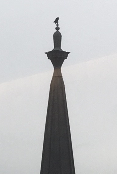 Bird perched on a church steeple