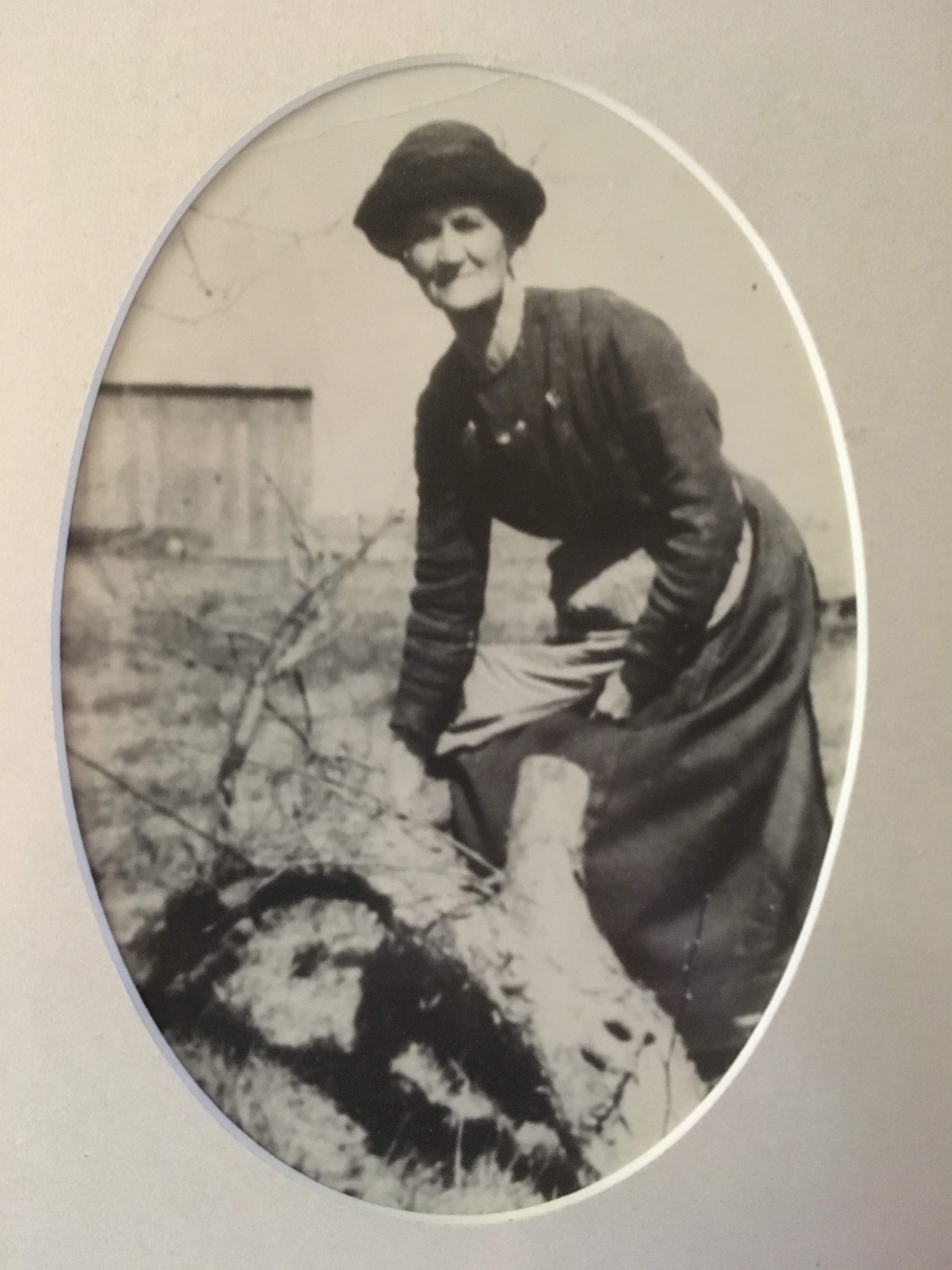 Pioneer woman in long dress moving a tree stump.