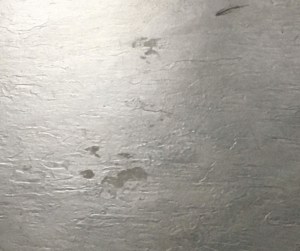 dog prints on tile