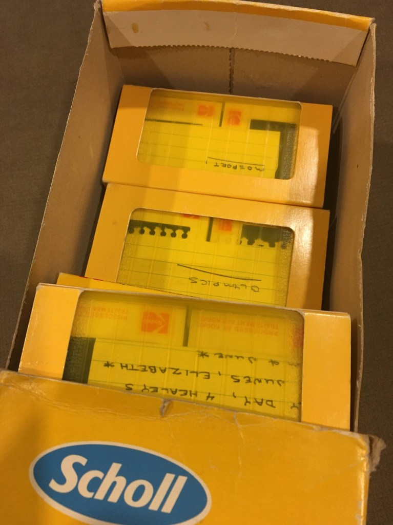 orange plastic slide holders in a Scholl box