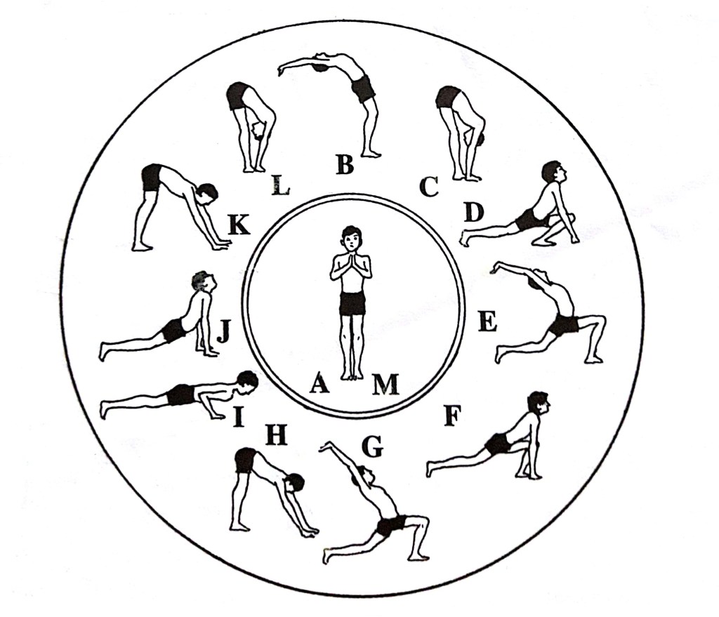 Illustration of sun salutation positions