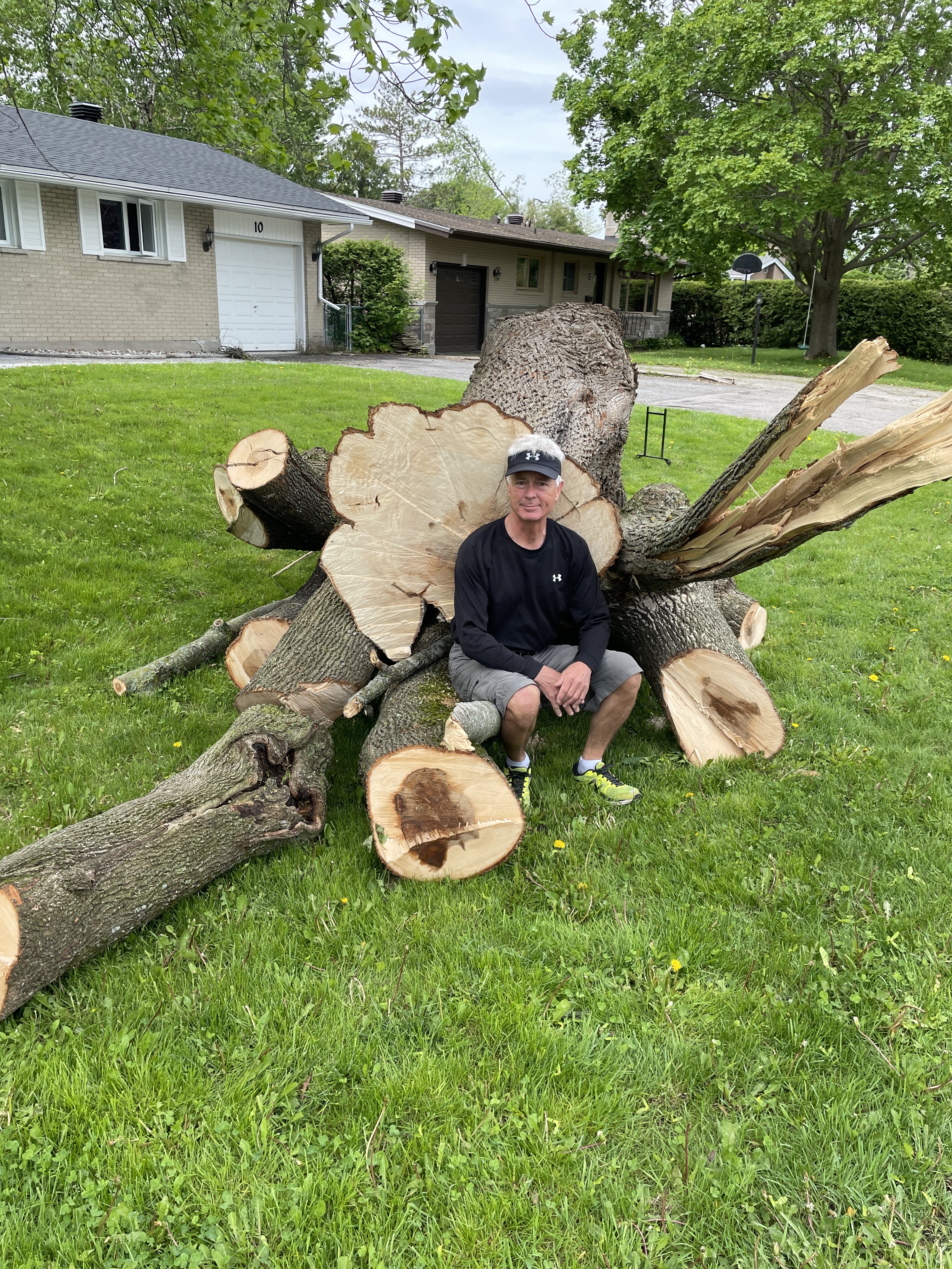 An man sits in front of a huge felled tree trunk, the sawed surface approximately 3 feet across. 