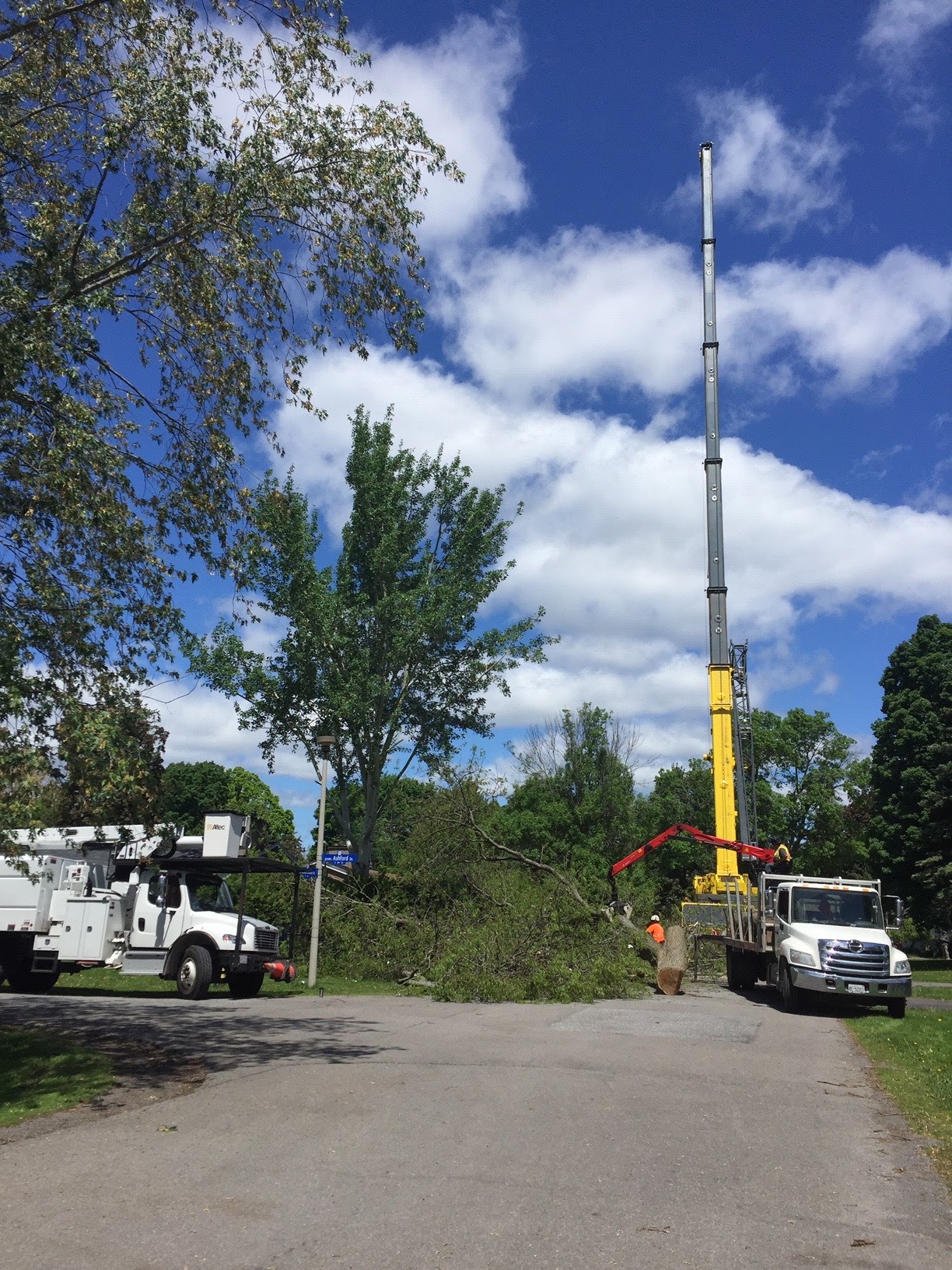A crane is in position on a city street, preparing to live a 7000-pound tree trunk up and over a house. 