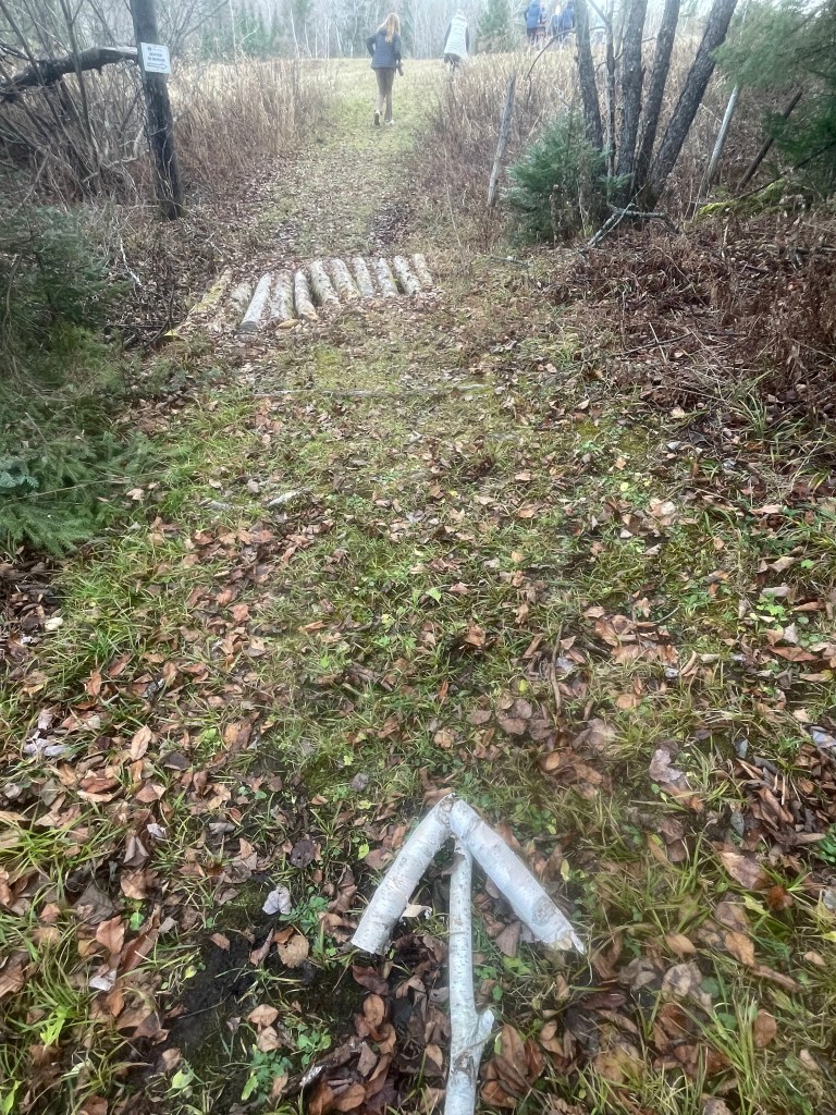 Three birch branches laid on the ground in the shape of an arrow. The arrow points ahead to a bridge made of logs and a small hill.