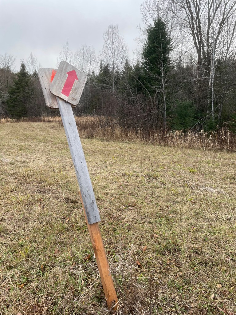 A red arrow painted on a sign that is attached to a post erected in a farm field.